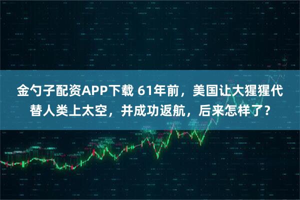 金勺子配资APP下载 61年前，美国让大猩猩代替人类上太空，并成功返航，后来怎样了？