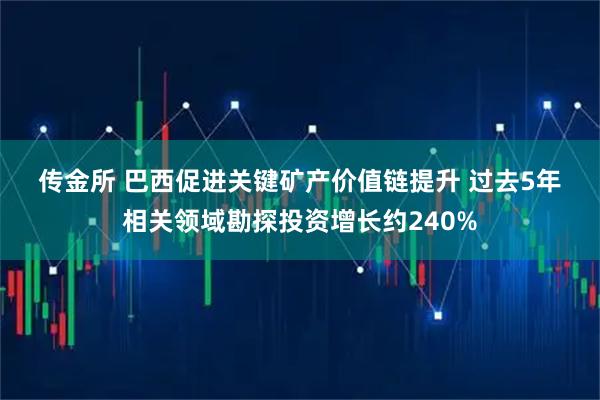 传金所 巴西促进关键矿产价值链提升 过去5年相关领域勘探投资增长约240%
