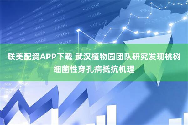 联美配资APP下载 武汉植物园团队研究发现桃树细菌性穿孔病抵抗机理