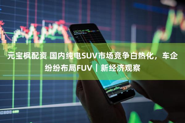 元宝枫配资 国内纯电SUV市场竞争白热化，车企纷纷布局FUV｜新经济观察